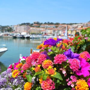 Mediterranean Rivieras