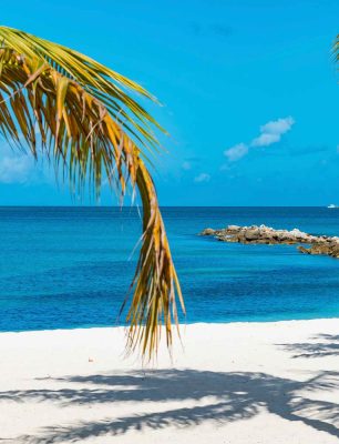 straw-parasols-under-palm-trees-on-the-white-carib-BJ5KA94.jpg